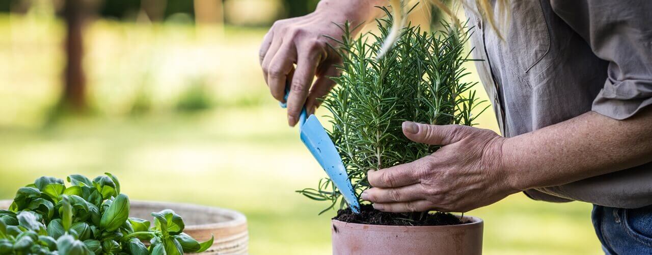 Best Natural Remedies for Arthritis Pain Relief