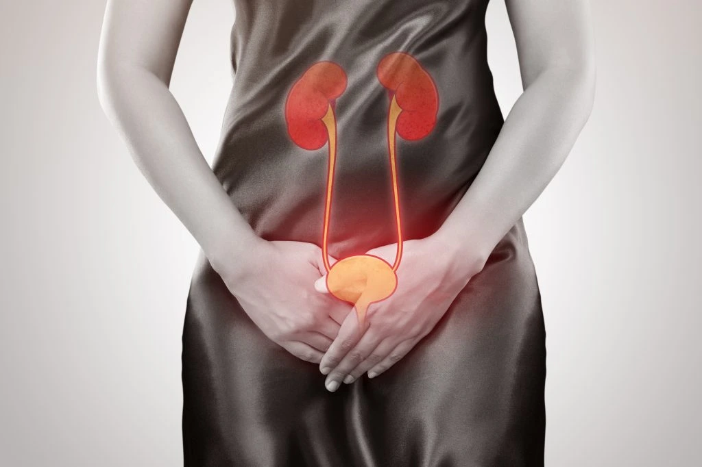 Urinary Tract Infection (UTI): Causes, Symptoms, Prevention & Treatment