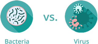 Antibiotics vs Antivirals – What’s the difference?